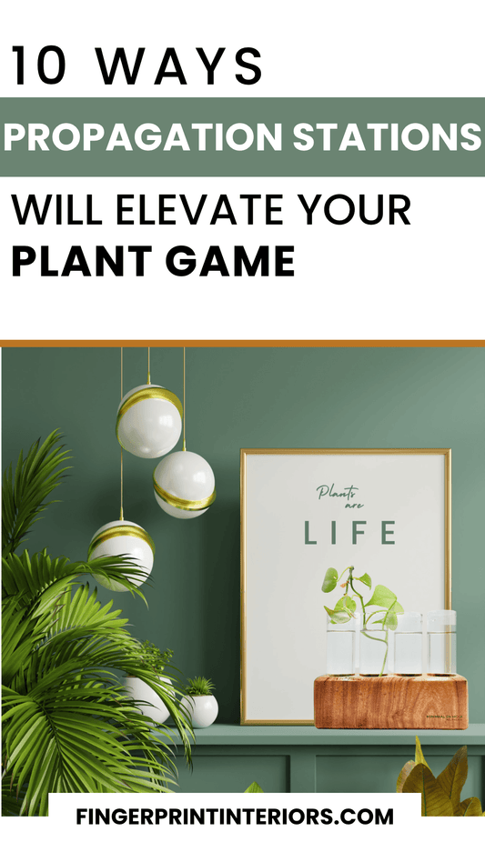 Discover 10 Ways Our Handmade Propagation Stations Will Elevate Your Plant Game! - Fingerprint Interiors