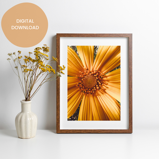 Golden Splendor: A Vibrant Yellow Flower - Printable Wall Art