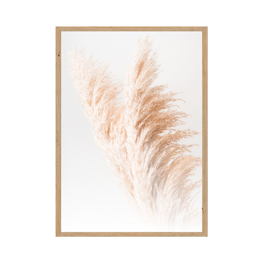 Eternal Bloom - Soft Pampas Grass Art Print