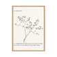 2 Corinthians 4:17 - For our light affliction is working for us an eternal weight of glory. Minimalist floral design.